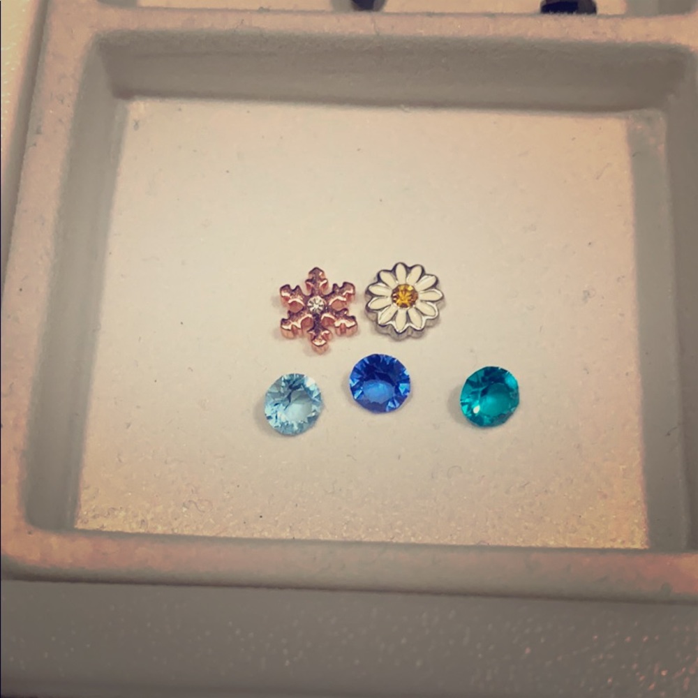 Michy9121 Set of 5 charms